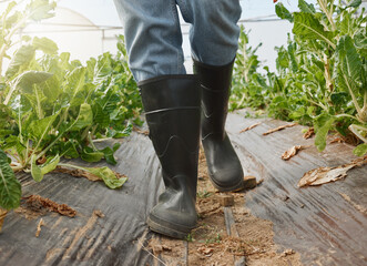 Off to check on the rest of my crops. Closeup shot of an unrecognisable man wearing black rubber boots while working in a greenhouse on a farm.