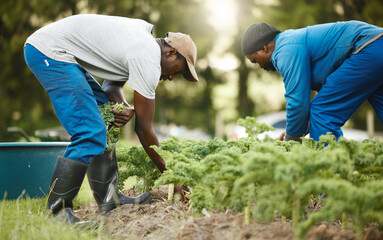 Working the land. Full length shot of two male farm workers tending to the crops.