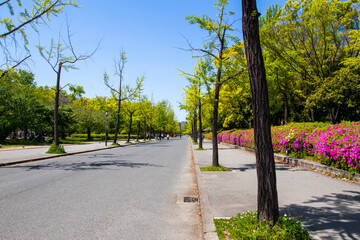 background texture tourist attraction public park garden