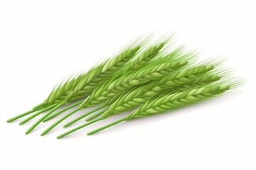 green wheat stalks on a white background. Generative AI