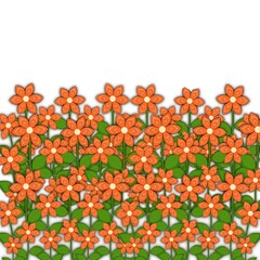 beautiful orange flowers