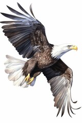 Flying Bald Eagle on White Background Illustration [Generative AI]