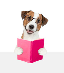 Smart Jack russel terrier puppy wearing eyeglasses holding open book and looking above empty white banner. isolated on white background
