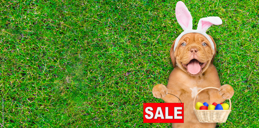 Aufkleber happy mastiff puppy wearing easter rabbits ears holds basket of colorful easter eggs and shows signb