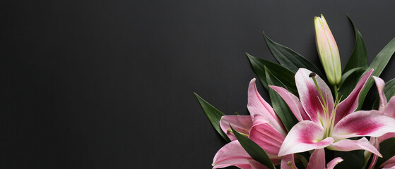 Beautiful lilies on dark background with space for text