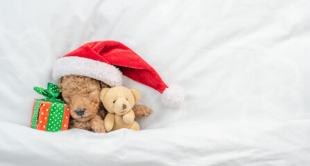 Tiny Toy Poodle puppy wearing red santa hat sleeps with gift box and toy bear under white blanket at home. Top down view. Empty space for text