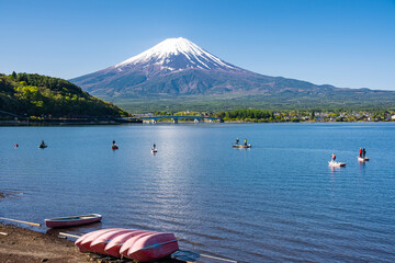 河口湖から富士山と白鳥