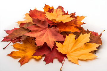 Pile of natural autumn maple leaves of yellow, orange, red, burgundy colors isolated on white background.
Generative AI. 