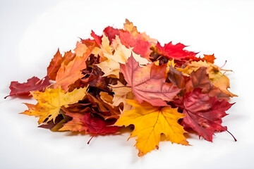 Naklejka na ściany i meble Pile of natural autumn maple leaves of yellow, orange, red, burgundy colors isolated on white background. Generative AI. 