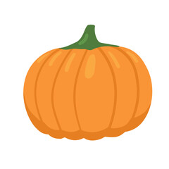Pumpkin flat cartoon illustration. Hand drawn autumn vegetable isolated on white. Fall harvest.