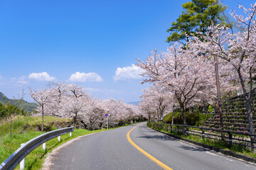 静岡県伊豆の国市　狩野川さくら公園の景色