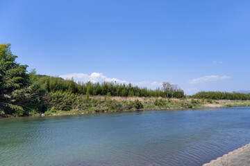 静岡県伊豆の国市　狩野川さくら公園から見た狩野川