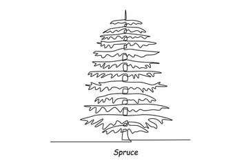 Single one line drawing spruce. Tree concept. Continuous line draw design graphic vector illustration.
