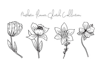 Aesthetic Spring and Summer Flower Sketch Collection