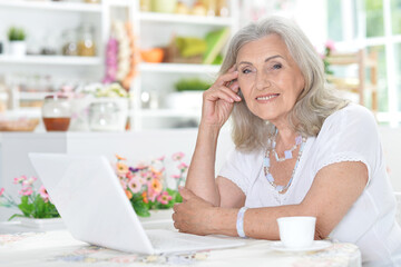 Obraz na płótnie Canvas old nice woman using laptop at home