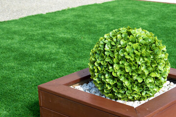 Modern front or back yard design ideas, landscaping Inspiration - 596995071