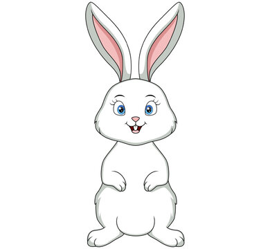 Cute white bunny cartoon on white background