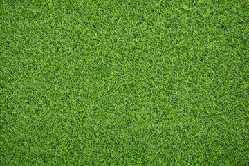 Background texture of natural green grass, Generative AI