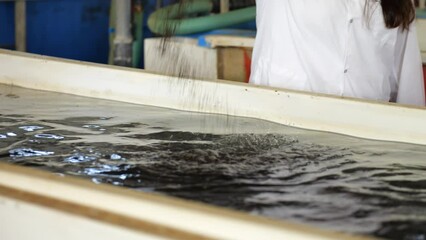 Scientist adding fish food to water tank in aqua farming facility