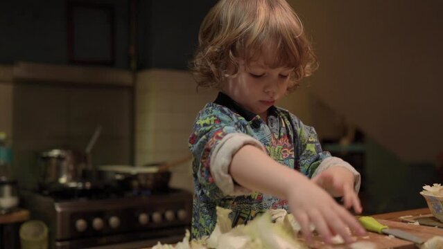 A little boy cuts an cabbage in the kitchen