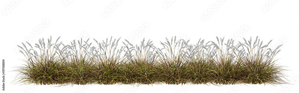 Poster nature prairie grass meadow horizontal row 3d rendering png file