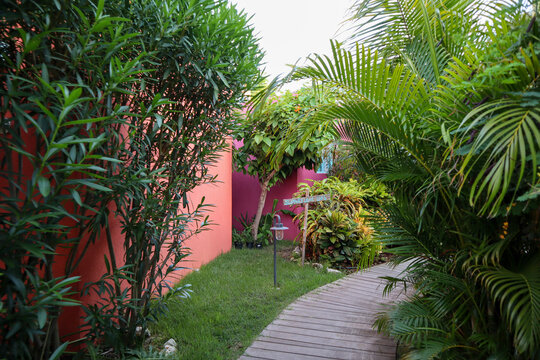 Travel to an Aruba resort near the ocean