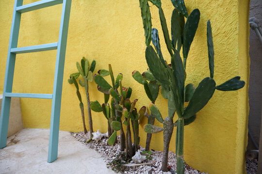 Travel to an Aruba resort by the ocean