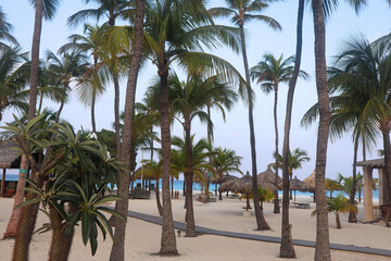 Fototapeta na wymiar Travel to an Aruba resort by the ocean