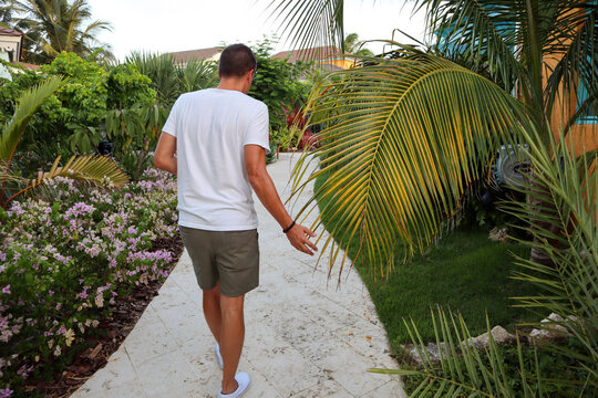 Travel to an Aruba resort by the ocean