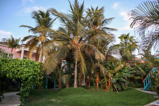 Travel to an Aruba resort by the ocean
