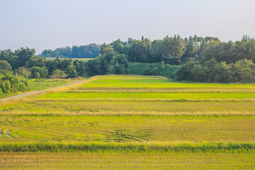 the fall season landscape of the Toyama countryside, Japan 31 Oct 2013