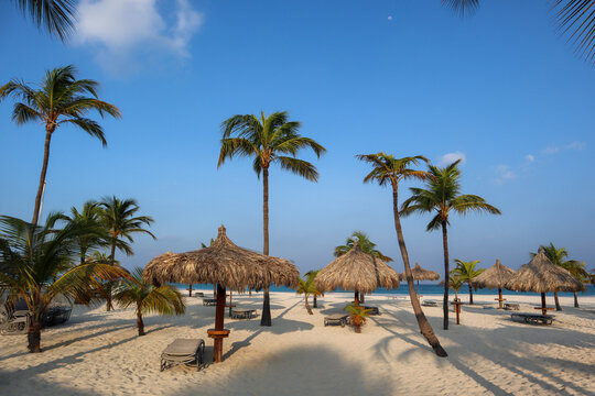 Travel to an Aruba resort by the ocean