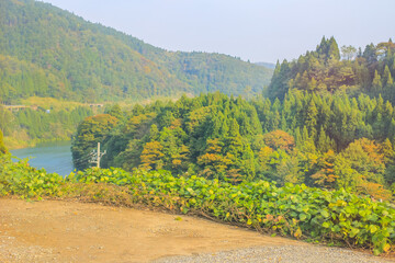 the fall season landscape of the Toyama countryside, Japan 31 Oct 2013