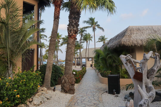 Travel to an Aruba resort by the ocean