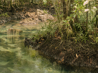 Waterfalls in the forest, streams suitable for adventure travel. Learn nature and preserve the environment.