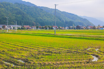 the fall season landscape of the Toyama countryside, Japan 31 Oct 2013