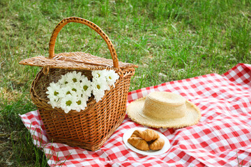 Fototapeta na wymiar Spending time in nature - picnic, accessories for picnic
