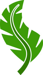 leaf elements illustration