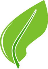 leaf elements illustration