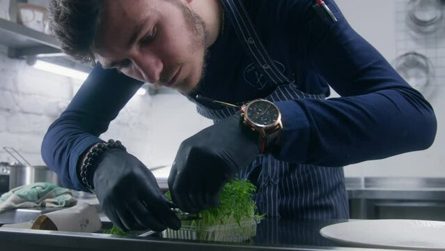 Male chef prepares to dish presentation for serving. The cook cuts pieces of microgreens using small kitchen scissors to decorate dish. Restaurant with professional gourmet cuisine. Public catering.