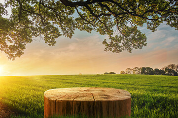 Fototapeta Tree Table wood Podium in farm display for food, perfume, and other products on nature background, Table in farm with grass, Sunlight at morning obraz