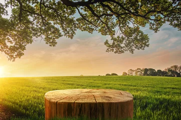 Selbstklebende Fototapete Landschaft Tree Table wood Podium in farm display for food, perfume, and other products on nature background, Table in farm with grass, Sunlight at morning