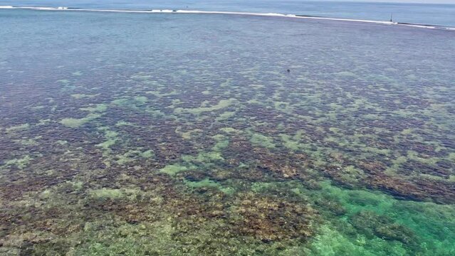 Aerial Fly Over Shot of Tahitian Coral Reefs at Teahupo'o on Tahiti Iti