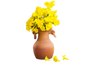 yellow flowers local flora of asia arrangement flat lay postcard style 