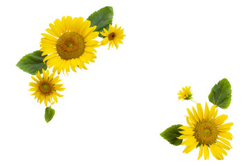 yellow flowers sunflowers arrangement flat lay postcard style  © phenphayom