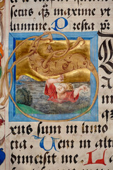 Manuscripts in the medieval library. Incunabula.