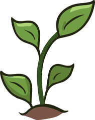 Sprout png graphic clipart design