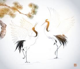Naklejka premium Crane birds dancing under pine tree on white background. Traditional oriental ink painting sumi-e, u-sin, go-hua. Hieroglyphs - peace, tranquility, clarity, well-being
