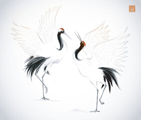 Two dancing crane birds on white background.Traditional oriental ink painting sumi-e, u-sin, go-hua. Hieroglyph - double luck.