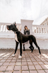 A woman walks with her Great Dane in an urban setting, enjoying the outdoors and the company of her...